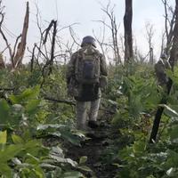 2000 метрів до Андріївки на премії Еммі