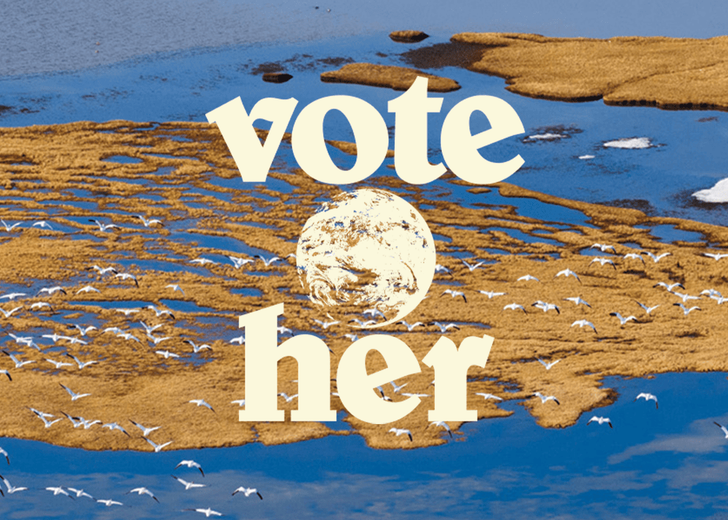 patagonia-vote-her-cover-dtf-magazine Ініціатива Vote Her від Patagonia